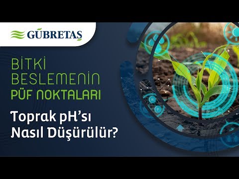 Video: Kükürt toprak pH'ını nasıl düşürür?