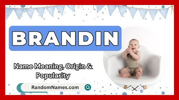 Brandin - Baby Boy Name Meaning, Origin & Popularity - RandomNames.com