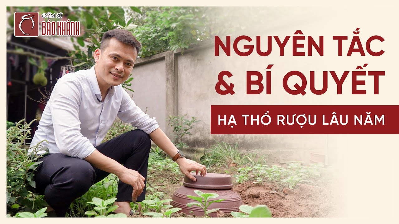 Hạ thổ rượu có giúp rượu ngon hơn ? Bí quyết hạ thổ... - youtube