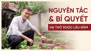 Hạ thổ rượu có giúp rượu ngon hơn ? Bí quyết hạ thổ rượu không phải ai cũng biết !