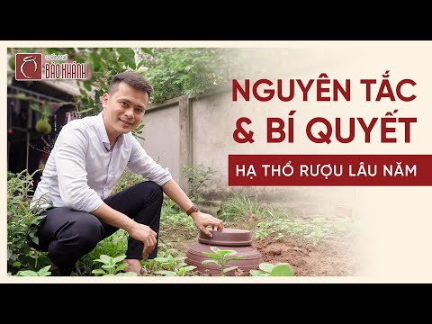 Video Hạ thổ rượu có giúp rượu ngon hơn ? Bí quyết hạ thổ... - youtube