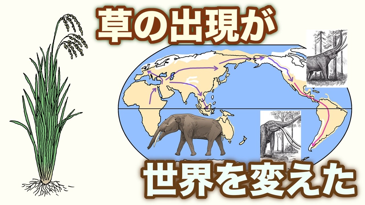 草の出現が世界を変えた　地球の歴史 その１５２
