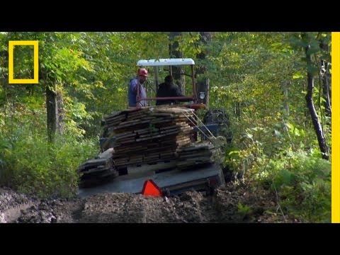 Road's Going to Hell Fast | Building Wild