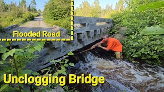Removing Beaver Dam Under Bridge Flooding Road