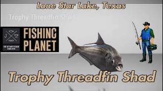 Trophy Threadfin Shad Lone Star Lake Texas Fishing Planet Guide