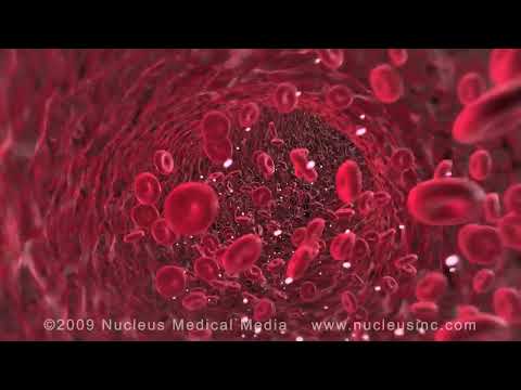 Ovulation Nucleus Health