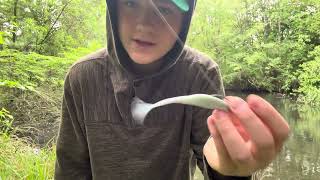 How to fish the Fluke (soft plastic jerkbait)