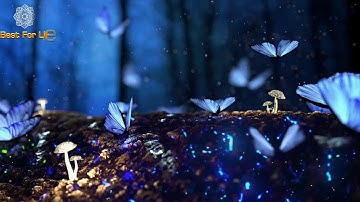 تلاوة لراحة النفس القرآن الكريم الأعراف  the holy quran al-A'araf