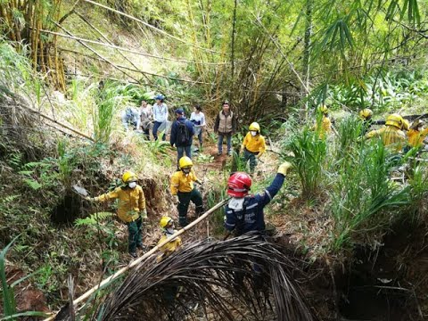 Autoridades en Cali realizan jornadas de limpieza en quebradas para mitigar riesgos de taponamiento