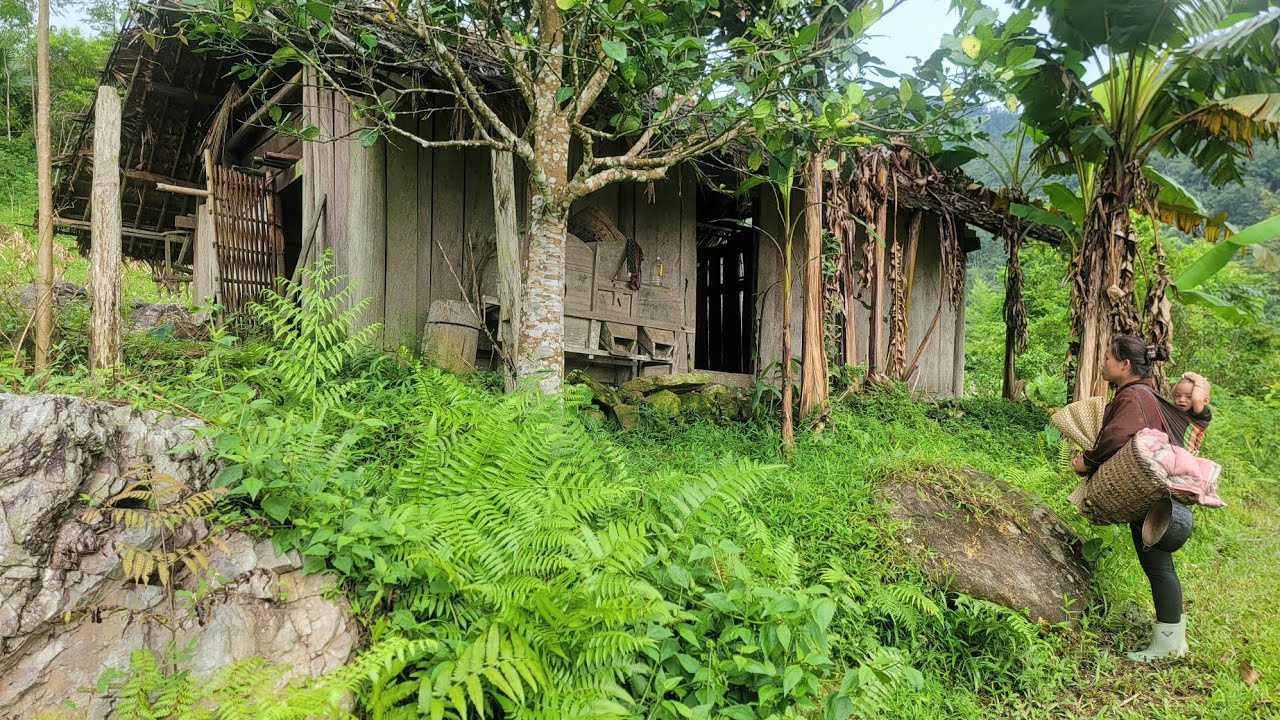 Full Video: 16-Year-Old Single Mom Turns Dilapidated House Into Dream Home | Dieu Linh