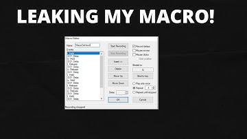 Leaking my Da Hood Macro (YW)