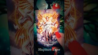 7 минут назад❗️ШОК❗️Крышесносные новости🔥 #мириамтаро #таро #таролог #tarot #tarotreading #гадание