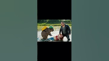 Capy dũng cảm giải cứu người cá ❤️ #capybara #capybaratiktok