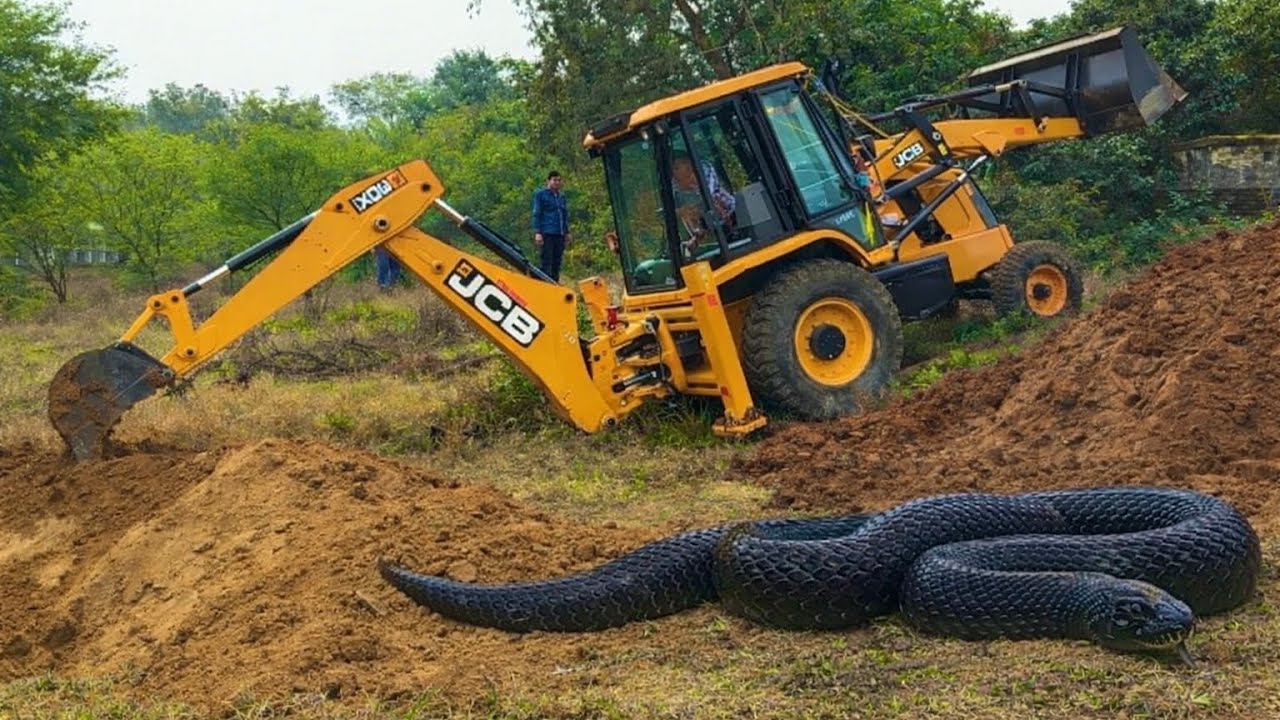 Jcb 3dx  Stuck In Mud | JCB Video | Jcb Stuck Mud | Jcb Backhoe | Jcb Wala video 