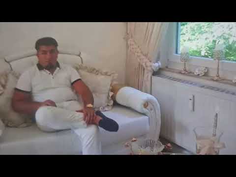 Romane Gila Wasabi Shejanka Serga 2025