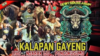 Download Lagu 🔴DJ BANTENGAN‼️KALAPAN GAYENG || DEWI SEKAR ARUM || LIVE NJARAK IJO _ PONCIKUSUMO MP3 Download Lagu 🔴DJ BANTENGAN‼️KALAPAN GAYENG || DEWI SEKAR ARUM || LIVE NJARAK IJO _ PONCIKUSUMO MP3