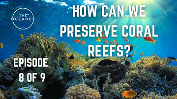 THE OCEANCY LEARNING - EPISODE 8 OF 9 - HOW CAN WE PRESERVE CORAL REEFS?