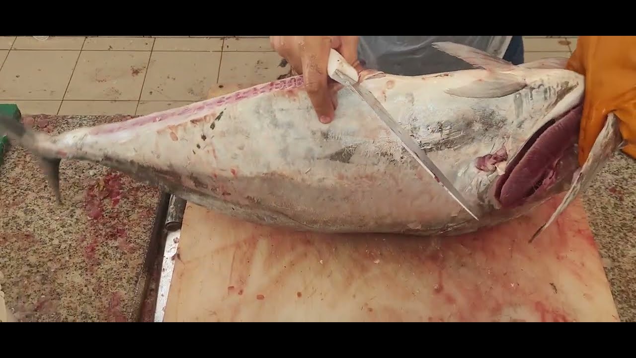 Diamond Trevally Filleting By Special Knife। How to Fillet Large