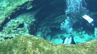 SNORKELING-DEVIL's EAR & DEVILs EYE SPRING SYSTEM AT GINNIE SPRINGS OUTDOORS / SNORKELING