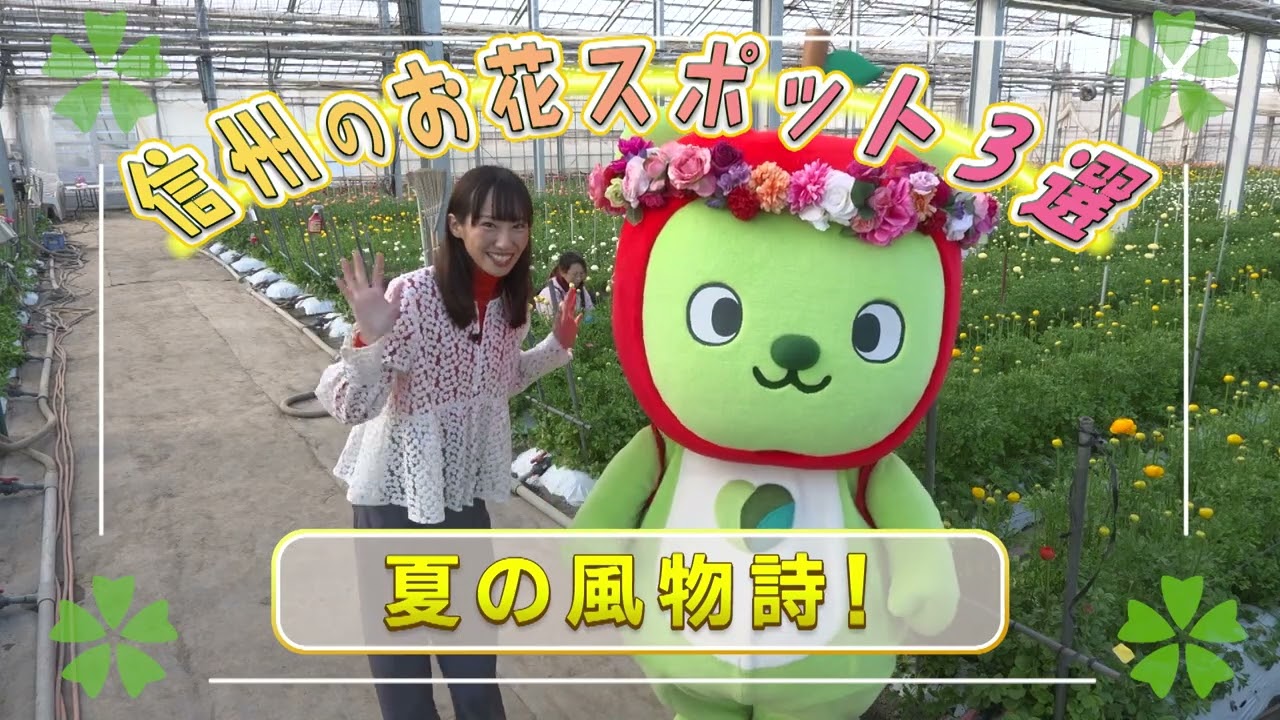 アルクマ オフィシャルサイト｜信州売り出し中！アルクマカンパニー