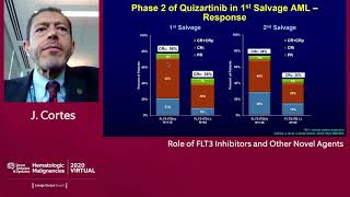 Role of FLT3 Inhibitors and Other Novel Agents in AML