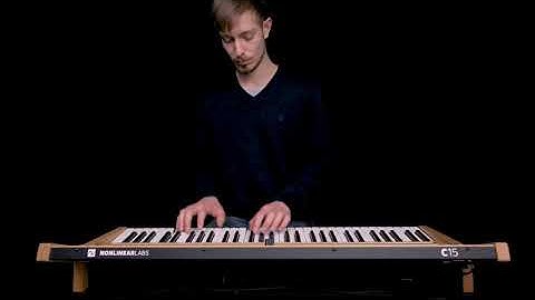 Nonlinear Labs C15 - Sandmann Echo