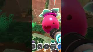 What is Tangle Slime#shorts #slimerancher