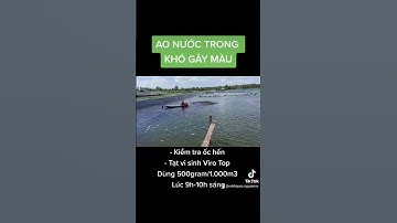 Ao tôm khó gây màu (Cách gây màu nước nhanh cho ao tôm) #shorts