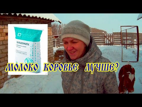 ЗЦМ выпойка ТЕЛЯТ.Наш