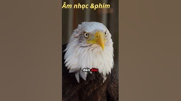 nganbangRIVEWnhạc-tiểuphẩm; Cuộc sống chỉ cần biết những điều giản đơn