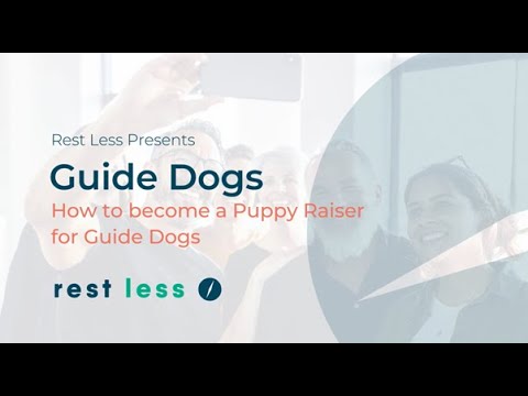 Video: Raisers Puppy Volunteer: The Secret to Success for Dog Guide