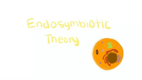 Endosymbiotic Theory (AP Bio Cell Project)