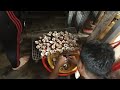 Hand picked Scallop - Vietnam seafood street food