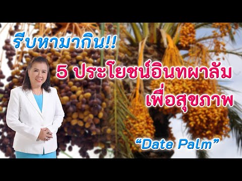 วีดีโอ: เหตุใดอินทผลัมจึงมีประโยชน์ต่อร่างกายมนุษย์?