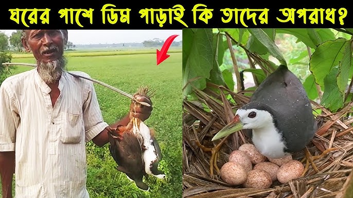 Анна Чапман порно видео