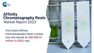 Affinity Chromatography Resin Market Report 2024 (Global Edition)