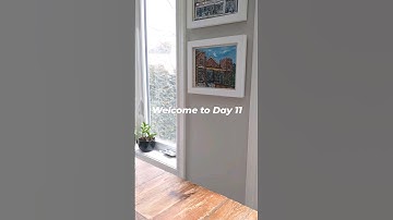 Day 11 - The Minimalist