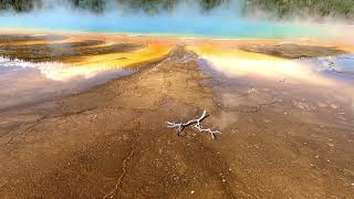 Yellowstone National Park 2025 | Wildlife, Geysers & Scenic Highlights in 4K