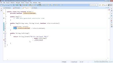 Java 8 - Beyond the Basics Tutorial | Object - Basic Extension - Part 2