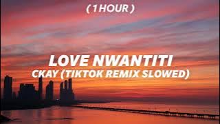[ 1 Hour ] CKay - Love Nwantiti (Tiktok Remix)