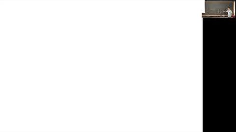 Statistical Physics with Python (QLS-SPP) Lecture 10