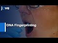 DNA Fingerprinting Techniques and Applications in Biological Sciences