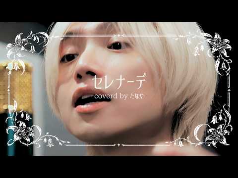 セレナーデ / なとり covered by たなか(Dios)