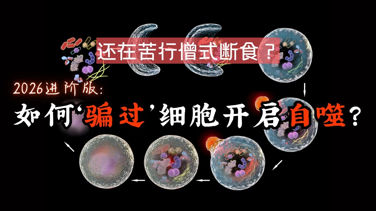 从细胞层面逆转衰老：2026生物黑客都在玩的“细胞翻新术”到底是什么？#雅说健康 #细胞自噬