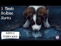 Animated Puppy Bedtime Story | Bedtime Stories for Kids | Calming Bedtime Stories for Kids