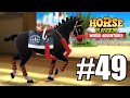 Diamond racing horses 49  horse haven world adventures lets play