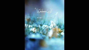 ناصر القطامي // قرآن كريم // حالات واتس اب// ستوريات انستغرام💜🌷#أجمل_حالات_القرآن