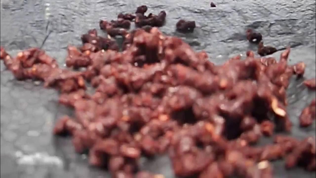 Making catfish feed at home 4 YouTube