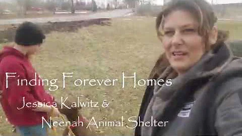 Finding Forever Homes: Meet Little Whiff