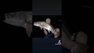 Bangin out a few Mulloway tonight
